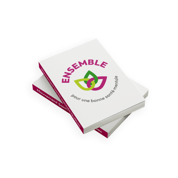 book_mockup_msmq3